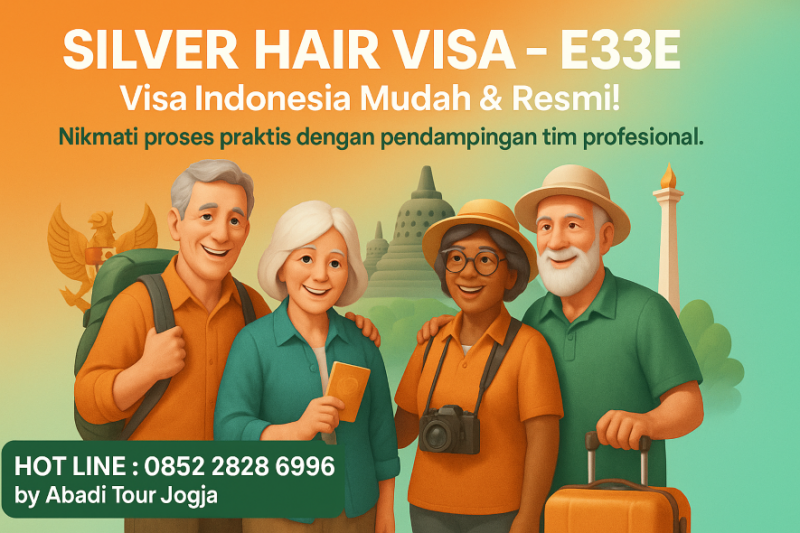 Silver Hair Visa - E33E